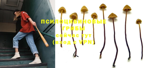 дурь Алзамай