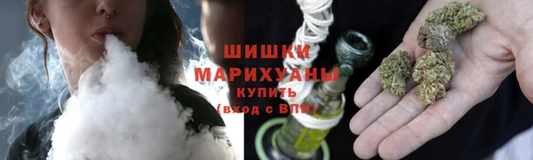 дурь Алзамай