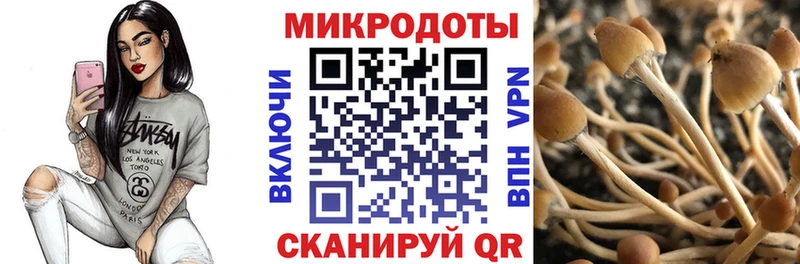 Галлюциногенные грибы Cubensis  Алушта 